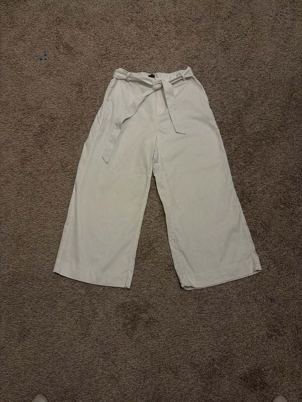 Banana Republic Rowan Wide-Leg Linen-Cotton Pants Size 6